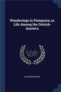 Wanderings in Patagonia; or, Life Among the Ostrich-hunters;