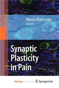 Synaptic Plasticity in Pain