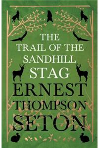 Trail Of The Sandhill Stag