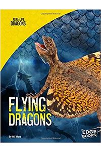 FLYING DRAGONS