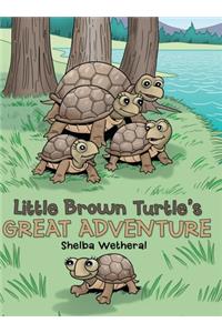 Little Brown Turtle's Great Adventure