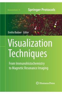 Visualization Techniques