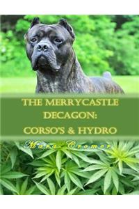 The Merrycastle Decagon