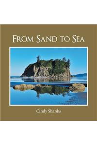 From Sand to Sea