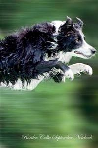 Border Collie September Notebook Border Collie Record, Log, Diary, Special Memories, To Do List, Academic Notepad, Scrapbook & More
