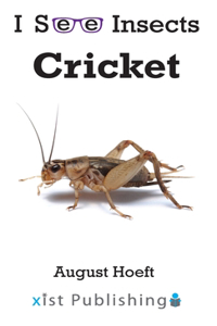 Cricket
