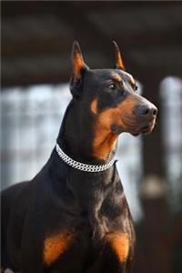 Handsome Doberman Dog Portrait Journal
