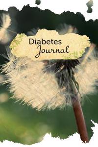 Diabetes Journal