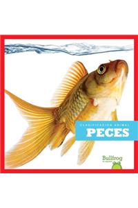 Peces / Fish