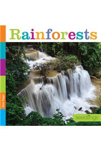 Rainforests