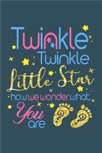 Twinkle twinkle little start how we wonder what you are
