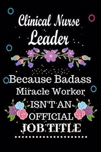 Clinical Nurse Leader Because Badass Miracle Worker Isn't an Official Job Title