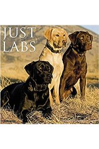 Just Labs 2018 Calendar