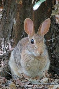 Wild Rabbit Camouflaged in the Forest Journal