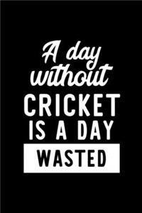 A Day Without Cricket Is A Day Wasted