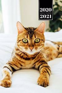 Bengal Cat Kitten Kitty Tomcat Week Planner Organizer 2020 / 2021 - In Bed
