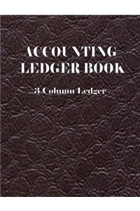 Accounting Ledger Book