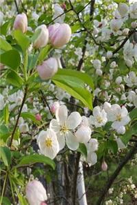 Springtime 2019 Weekly Planner Pretty Flowering Tree 134 Pages