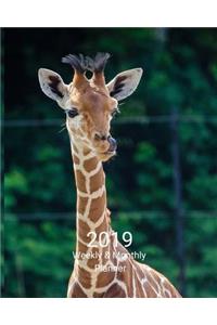 2019 Weekly and Monthly Planner