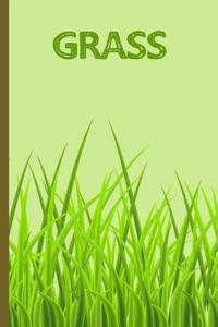 Grass - Weed - Mary Jane - Marijuana