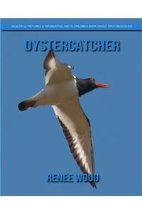 Oystercatcher