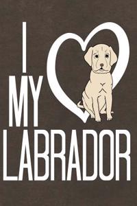 Labrador