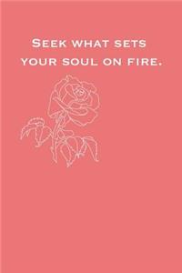 Seek What Sets Your Soul on Fire