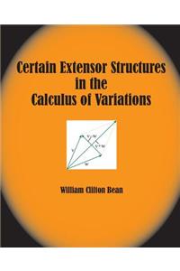 Certain Extensor Structures in the Calculus of Variations