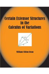 Certain Extensor Structures in the Calculus of Variations