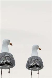Seagulls in a Line Notebook
