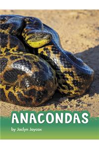 Anacondas