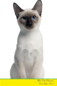 Thai Cat Presents