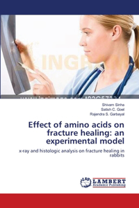 Effect of amino acids on fracture healing