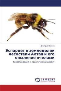 Espartset V Zemledelii Lesostepi Altaya I Ego Opylenie Pchelami