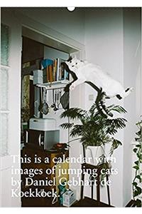 This is a Calendar with Images of Jumping Cats
