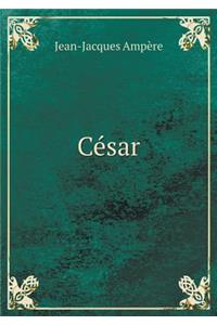 César