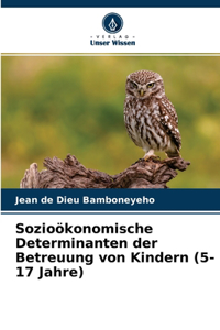 Sozioökonomische Determinanten der Betreuung von Kindern (5-17 Jahre)