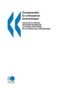 Comprendre La Croissance Economique