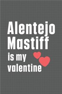 Alentejo Mastiff is my valentine