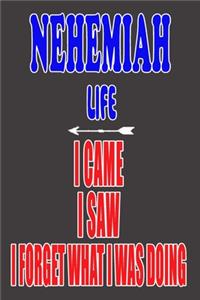 NEHEMIAH life I came I saw I forget what I was doing