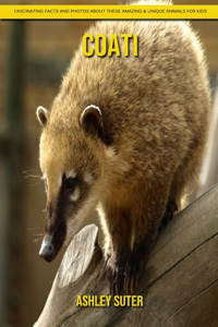 Coati