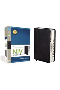 Study Bible-NIV