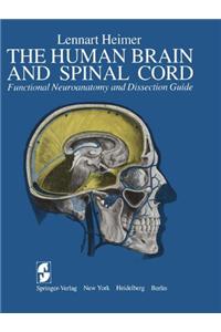 The Human Brain and Spinal Cord: Functional Neuroanatomy and Dissection Guide