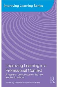 Improving Learning in a Professional Context