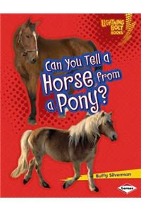 Can You Tell a Horse from a Pony?