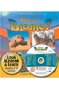 What is a Biome?