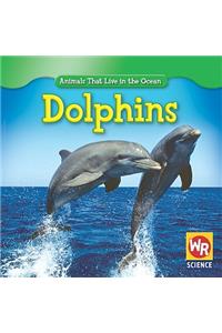 Dolphins