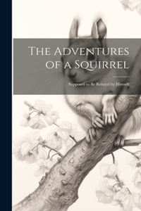 Adventures of a Squirrel