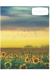 Draw&Write Journal: Sunflower Notebook/Journal For Adult/Children Flowers Lovers to Writing and Drawing (Large 8.5x11 Inch. 21.59x27.94 cm.) Story Paper 120 Pages (BLUE