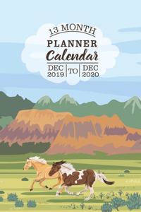 13 Month Planner Calendar Dec 2019 to Dec 2020